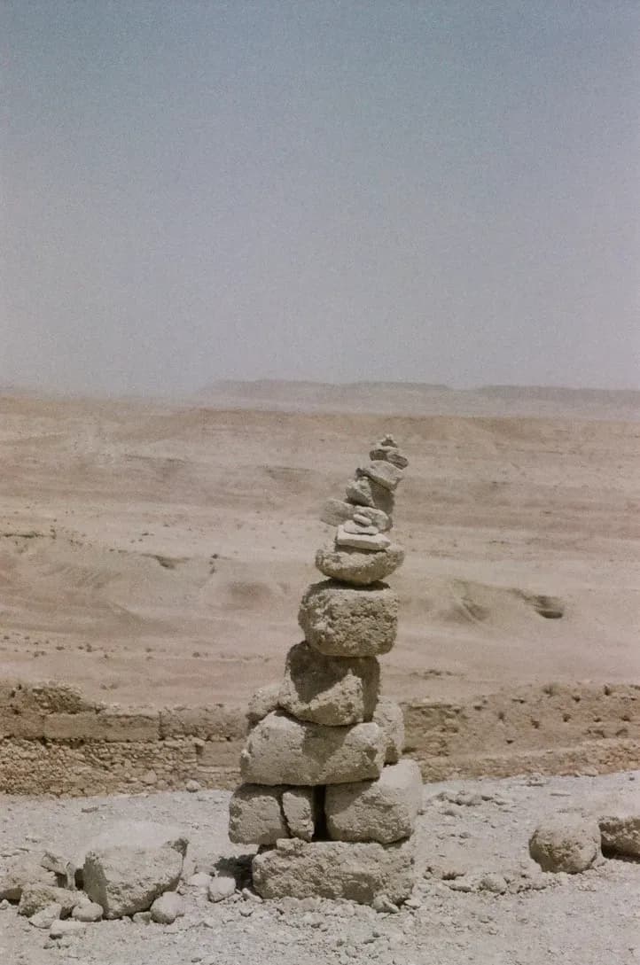 nature photograph taken in Aït Zineb, Morocco, 2024