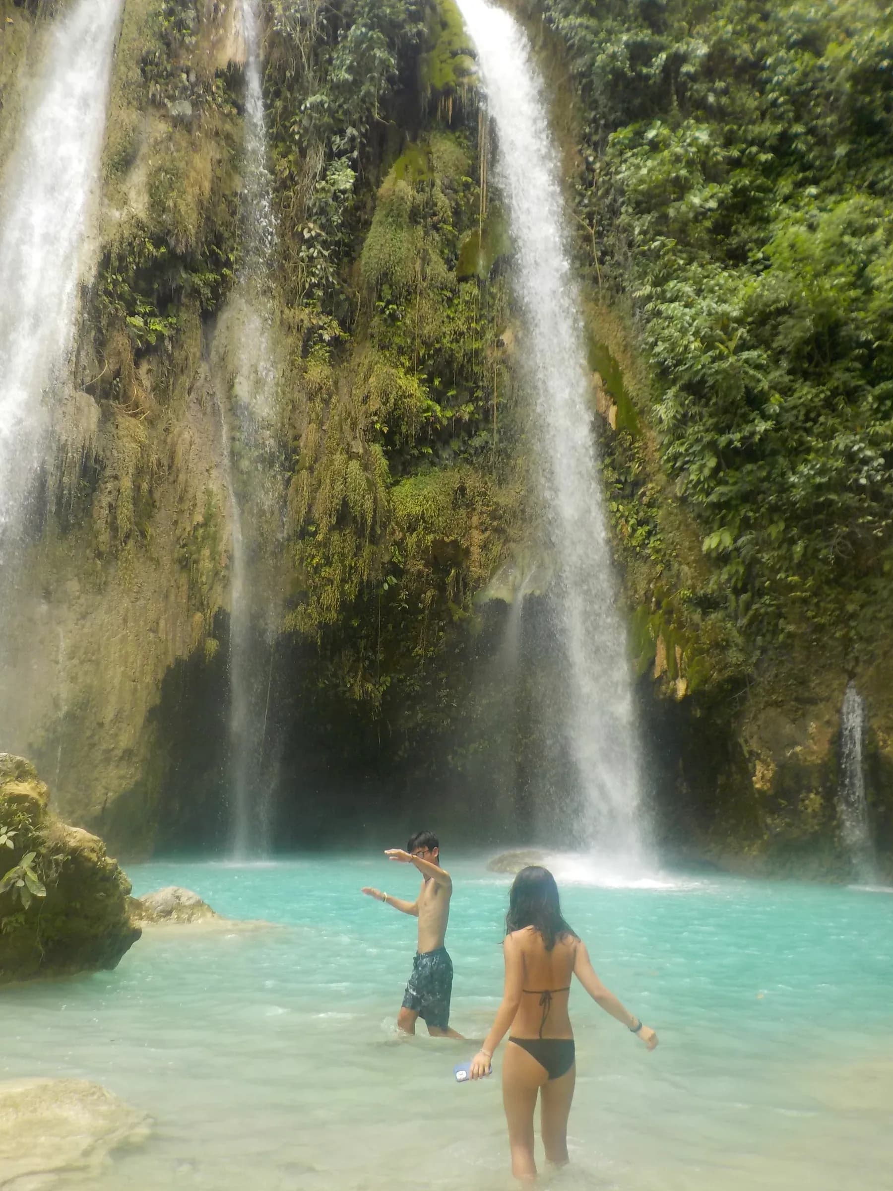 nature photograph taken in Cebu, Philippines, 2025