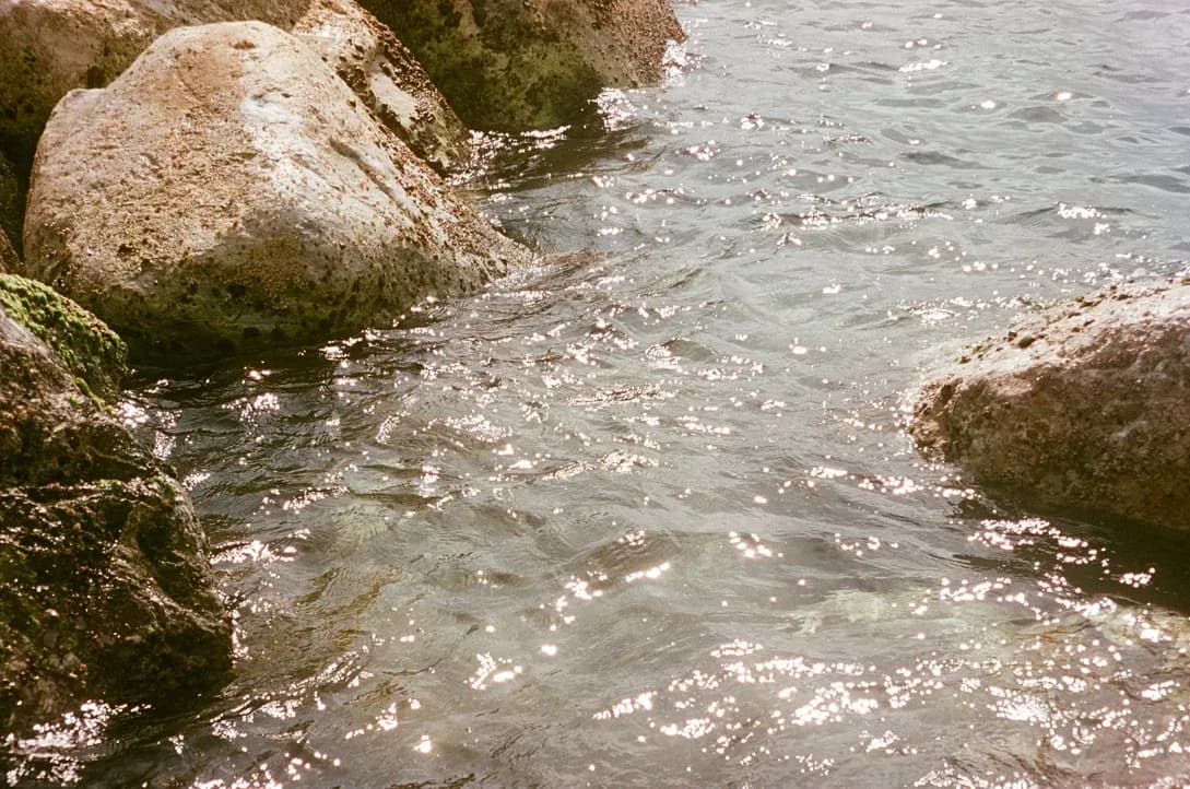 nature photograph taken in Cinque Terre, Italy, 2022