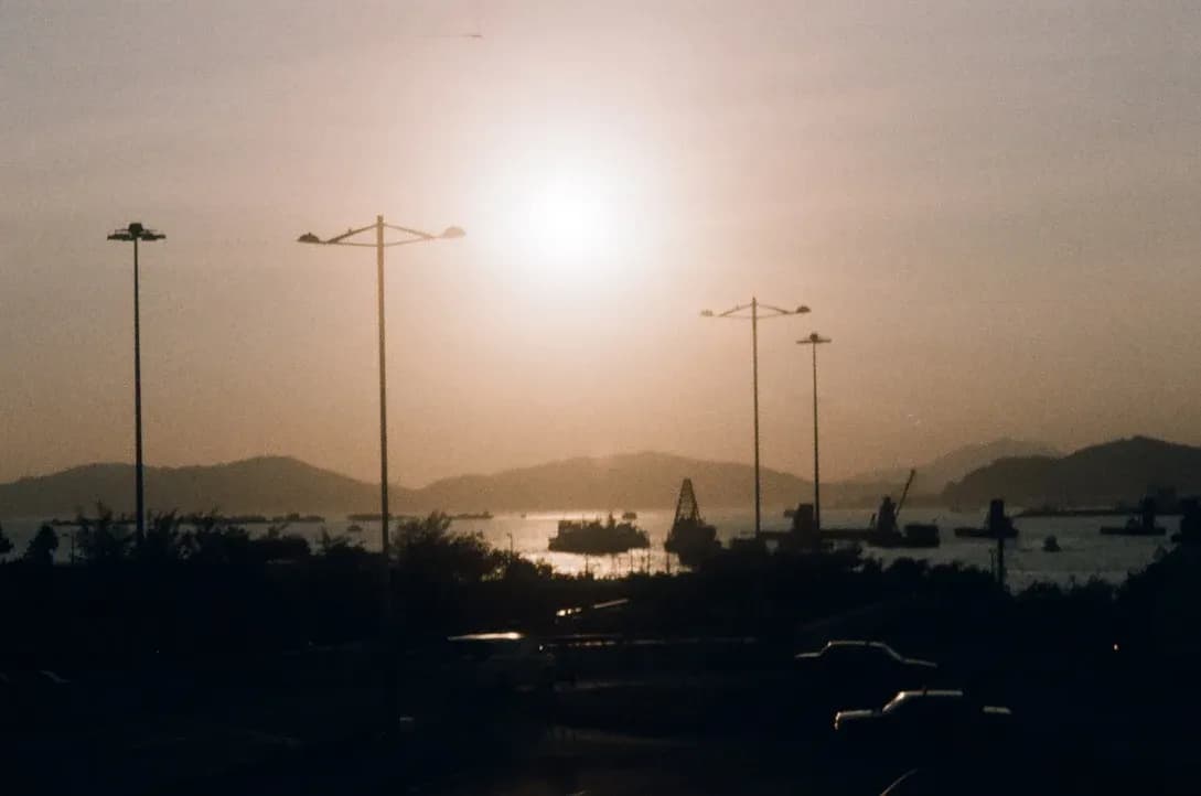 nature photograph taken in Hong Kong, Hong Kong, 2024