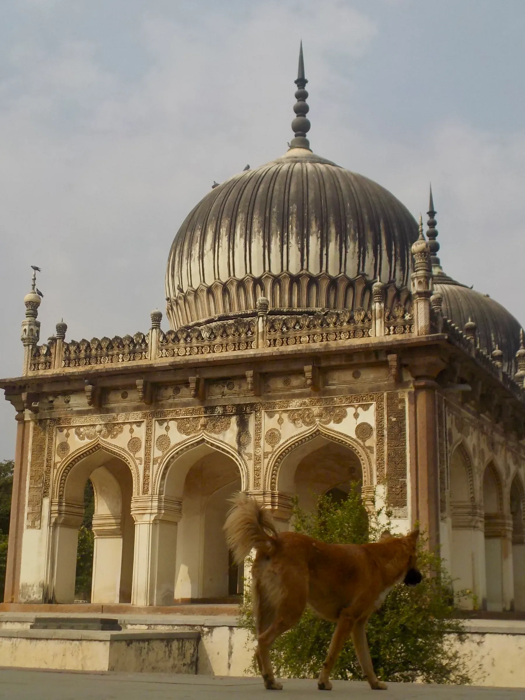 architecture photograph taken in Hyderabad, India, 2026