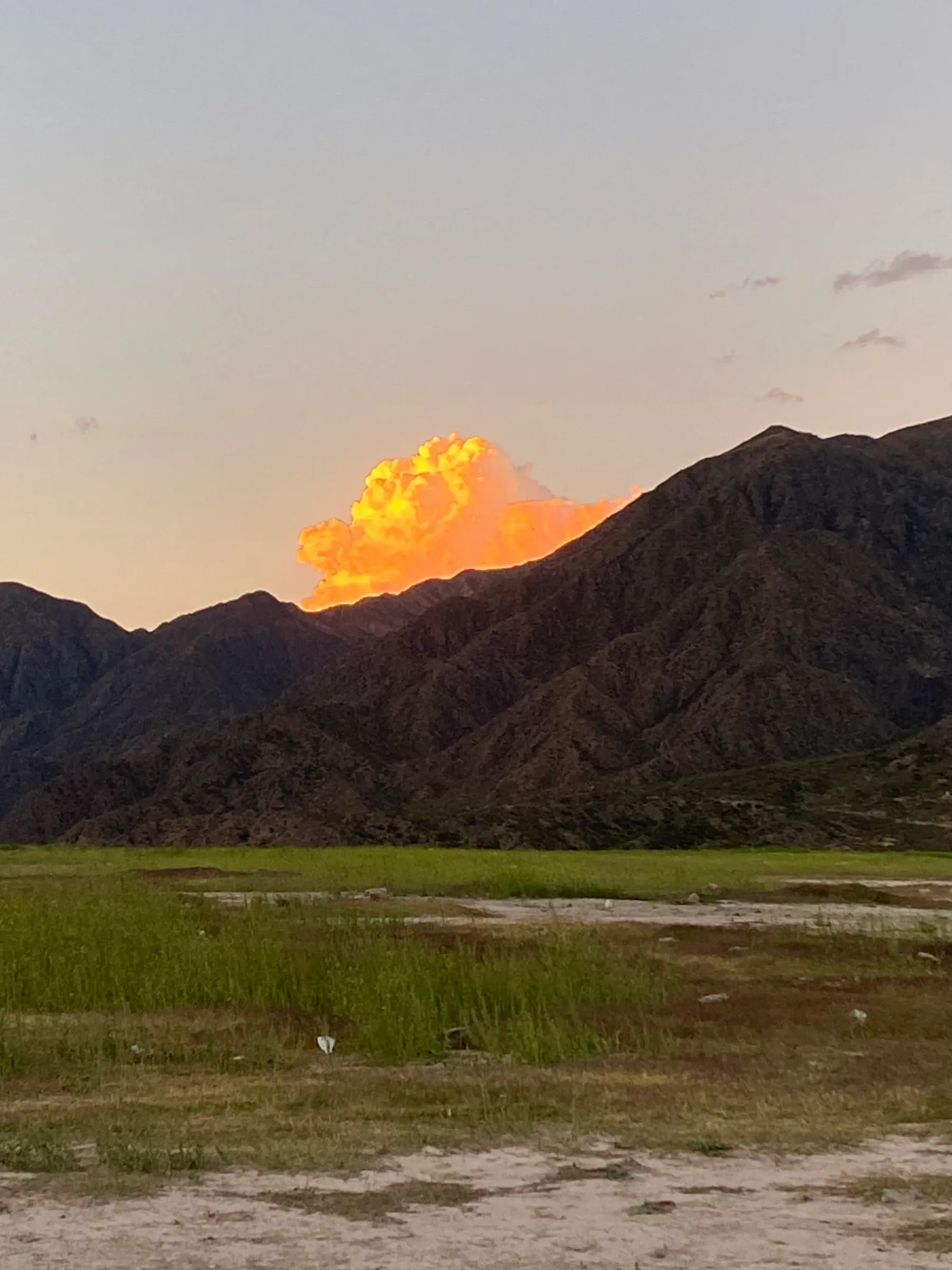 nature photograph taken in Mendoza, Argentina, 2024