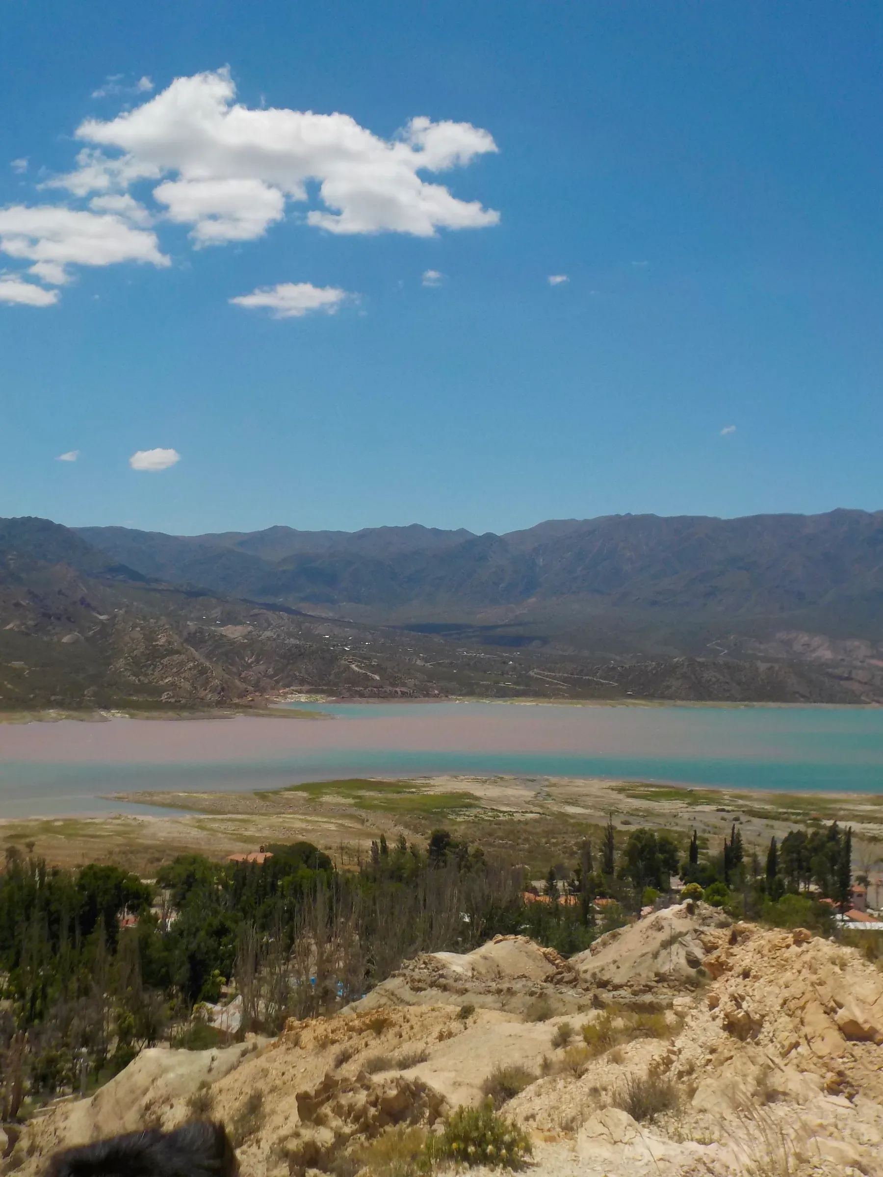 nature photograph taken in Mendoza, Argentina, 2024