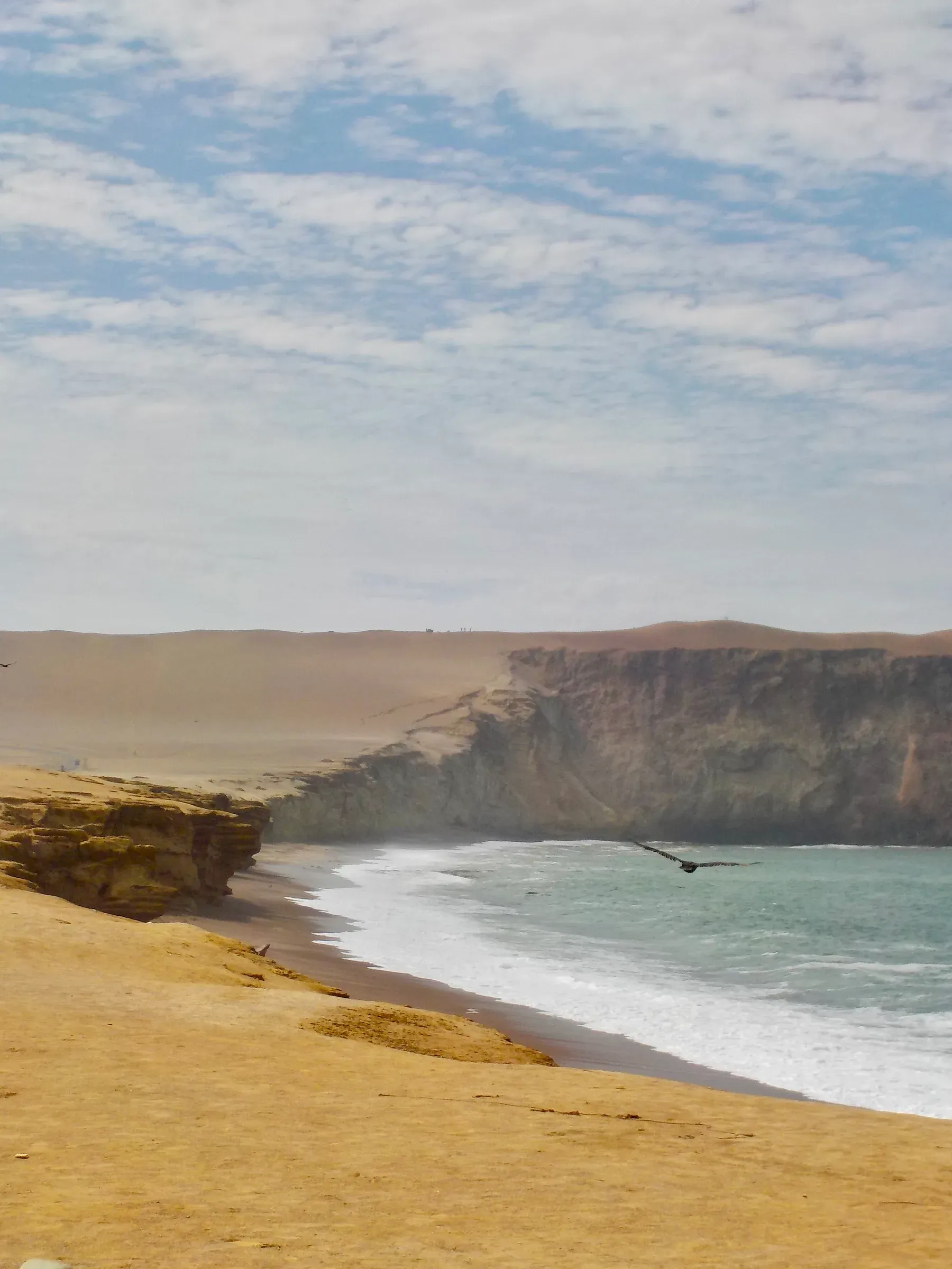 nature photograph taken in Parca, Peru, 2025