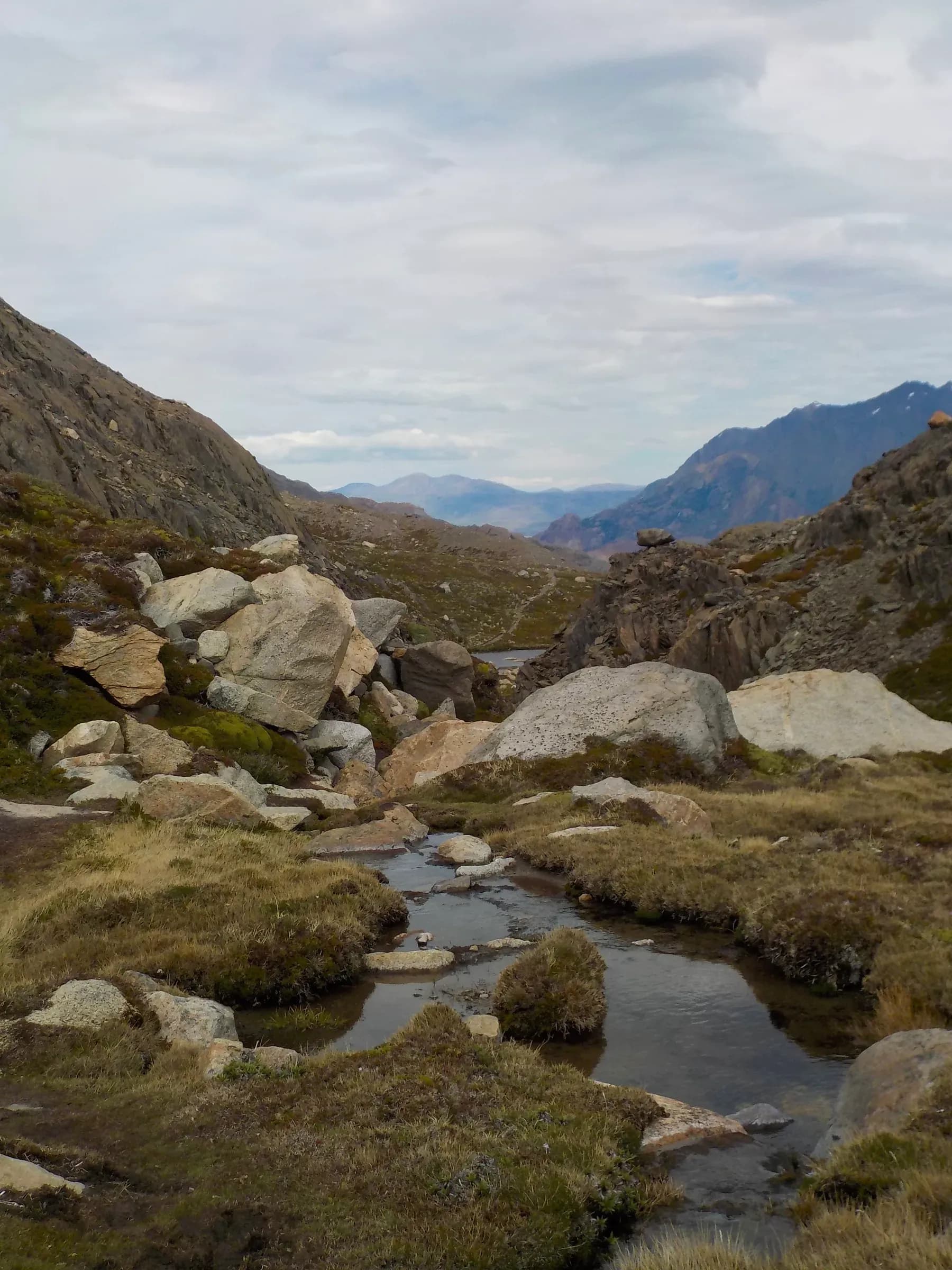 nature photograph taken in Patagonia, Argentina, 2024