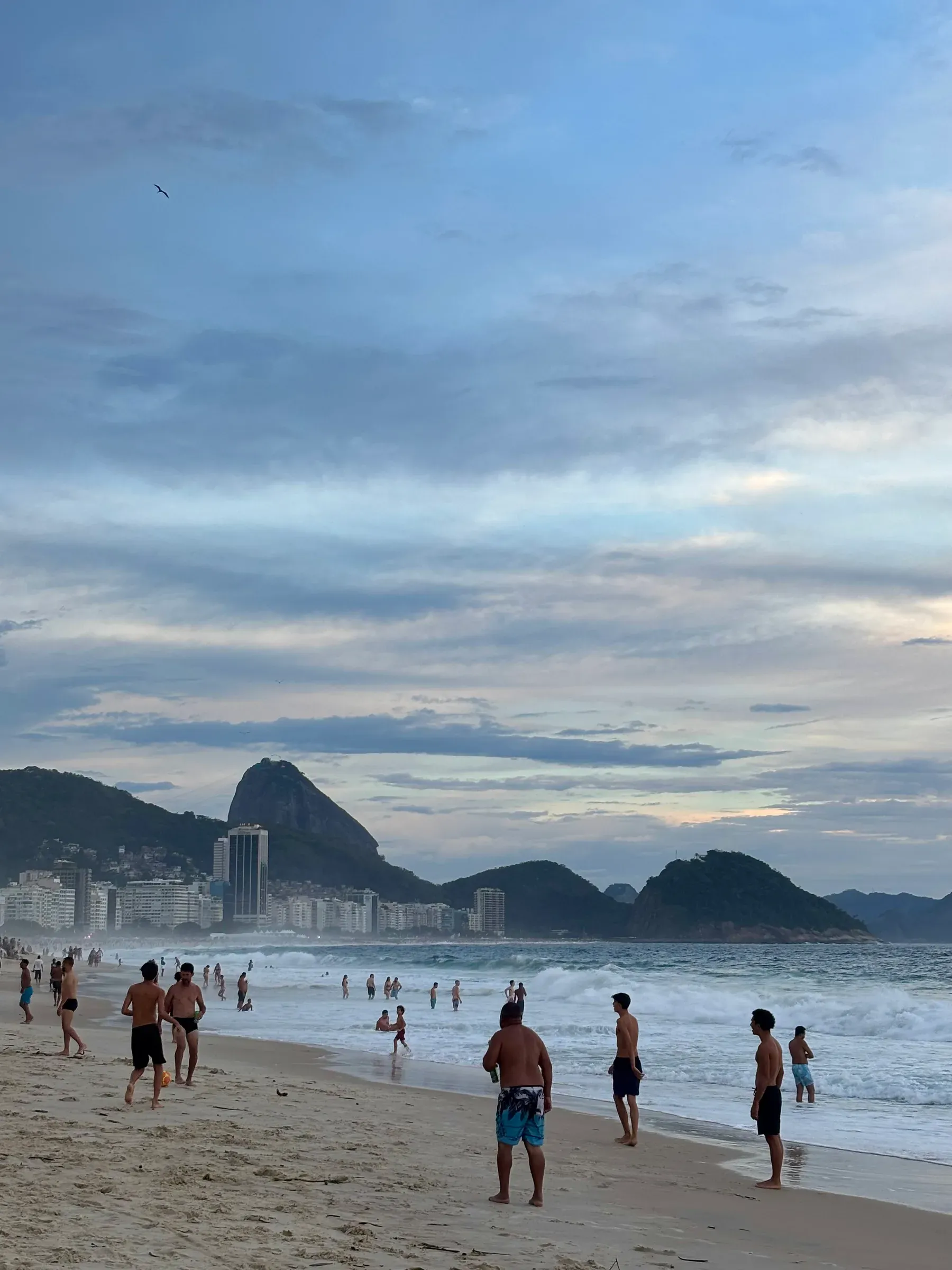 nature photograph taken in Rio de Janeiro, Brazil, 2025