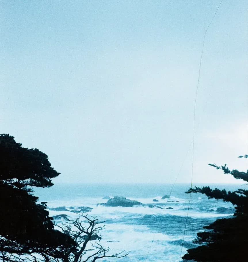 nature photograph taken in San Francisco, United States, 2023