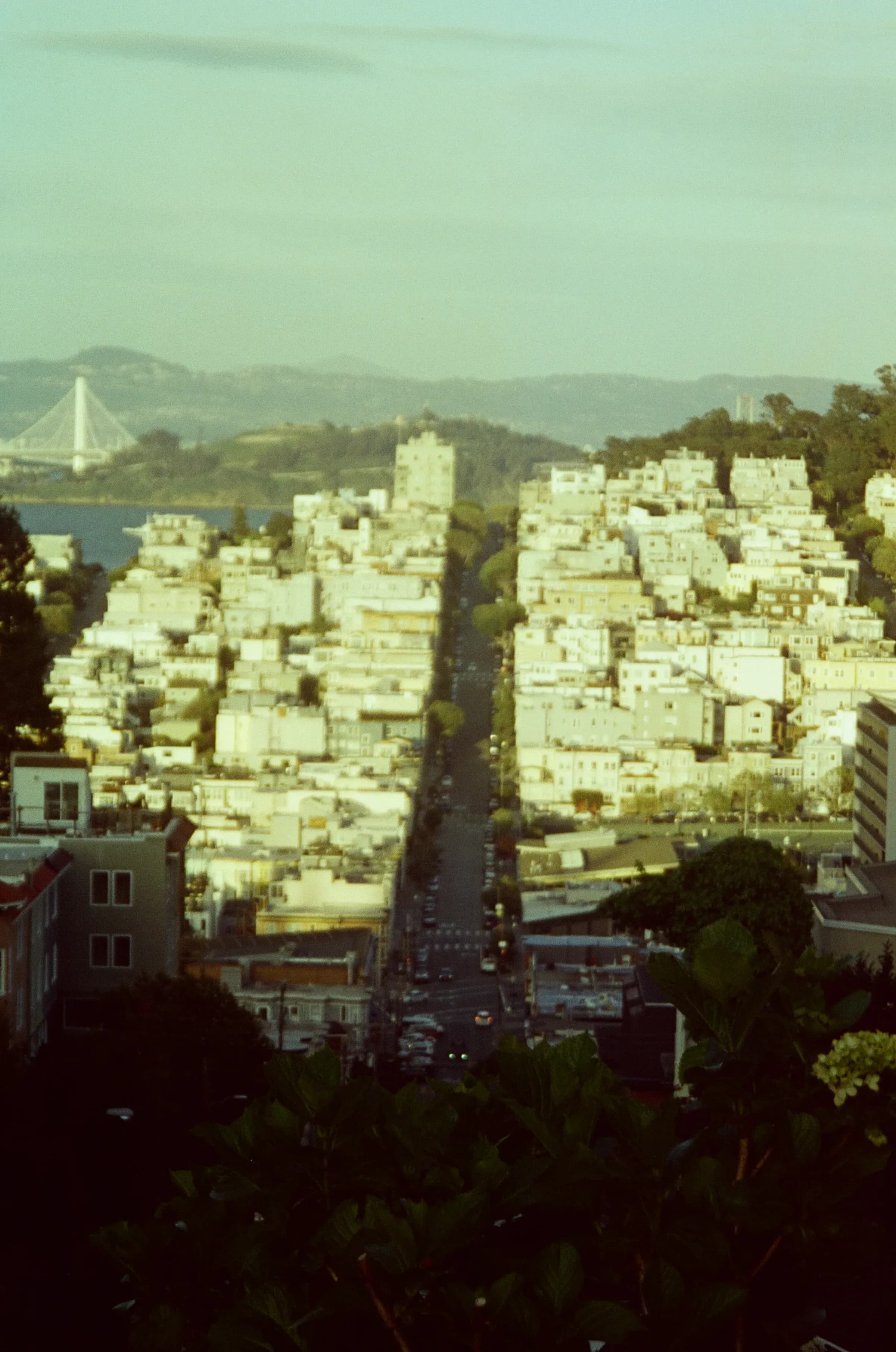 city photograph taken in San Francisco, United States, 2023
