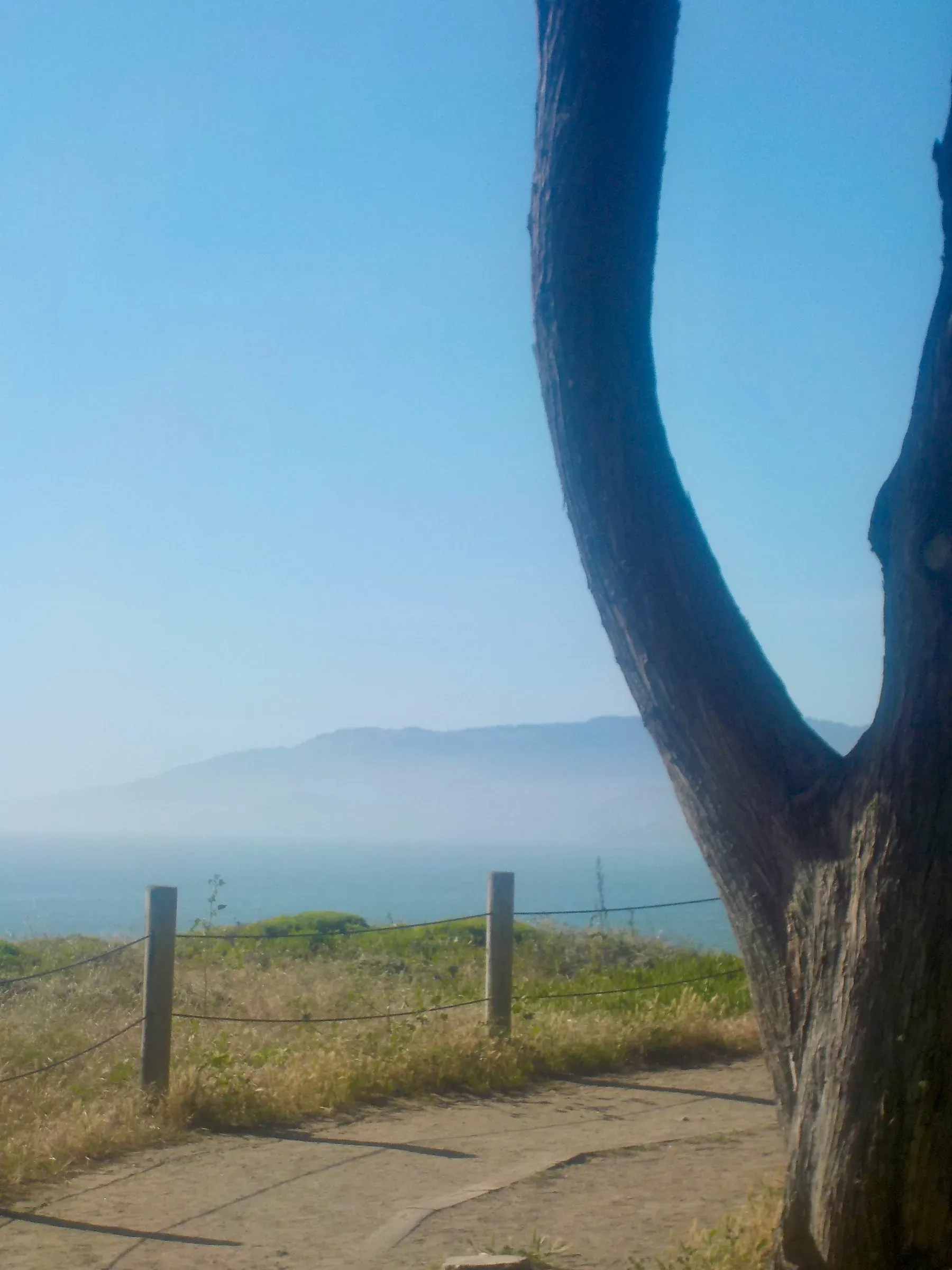 nature photograph taken in San Francisco, United States, 2026