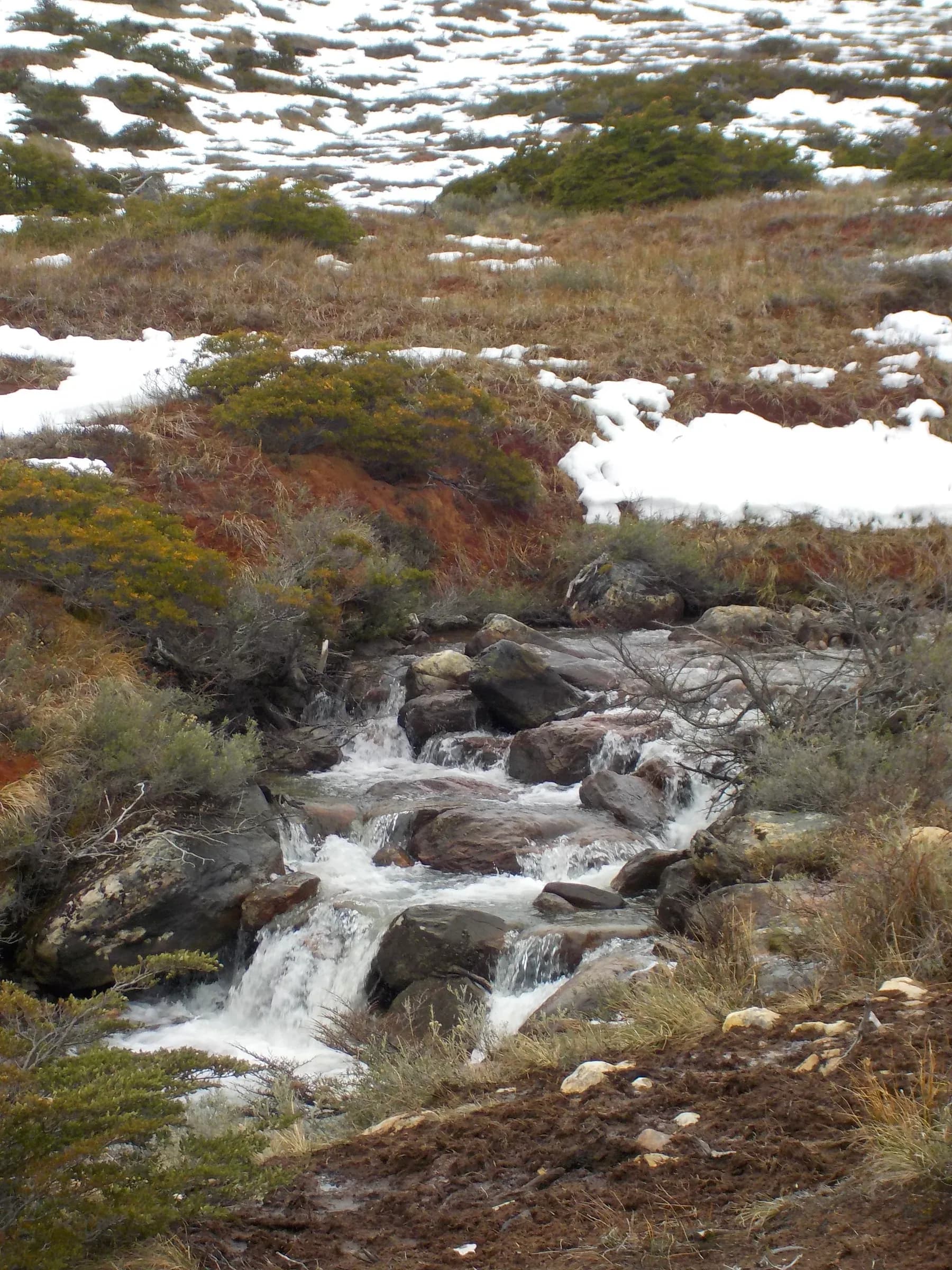 nature photograph taken in Ushuaia, Argentina, 2024
