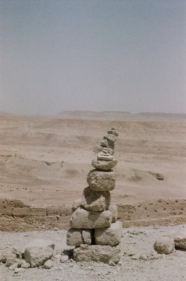 nature photograph taken in Aït Zineb, Morocco, 2024