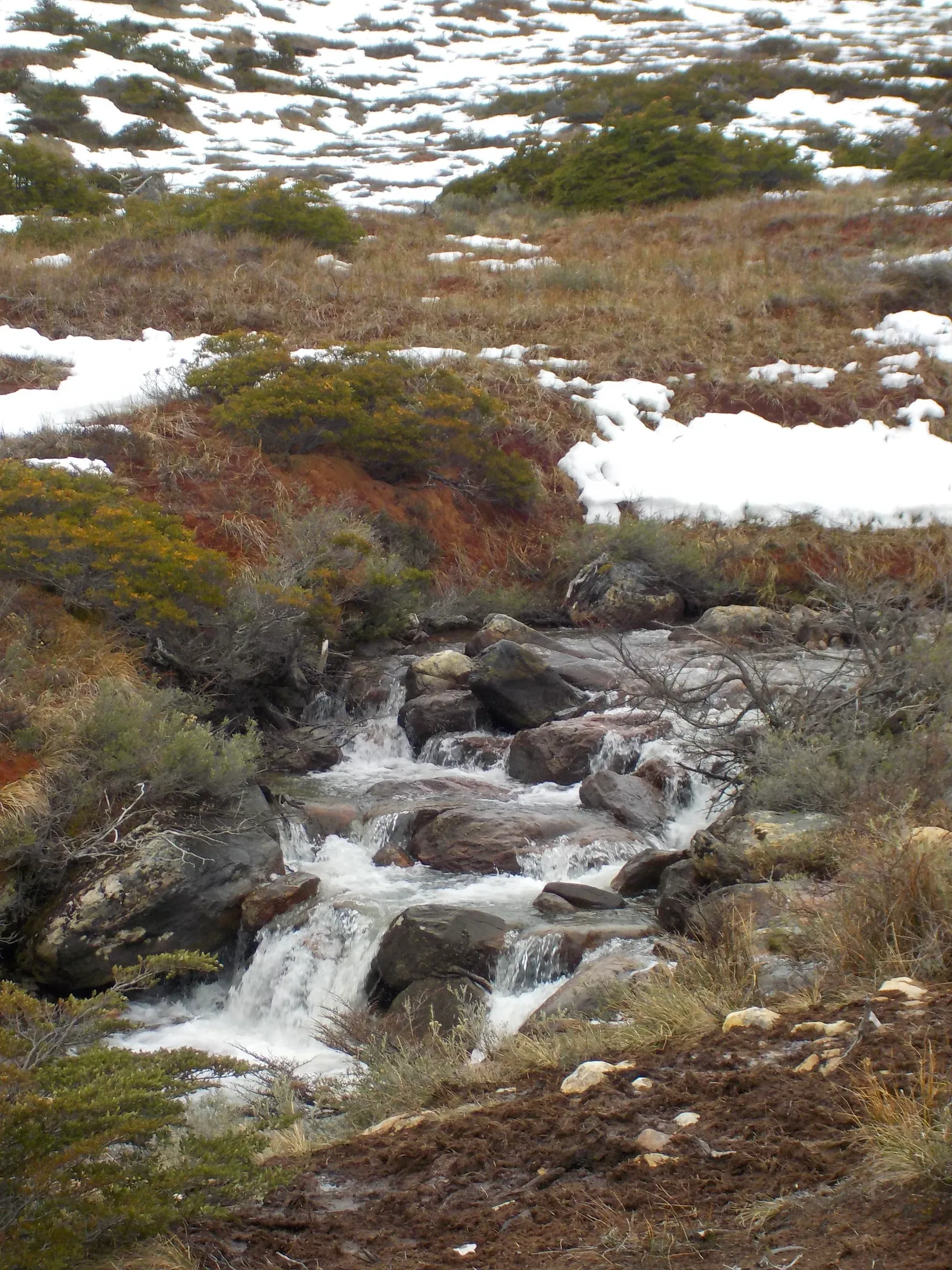 nature photograph taken in Ushuaia, Argentina, 2024